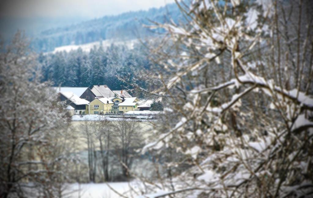 Hotel Der Seehof Хауценберг Экстерьер фото